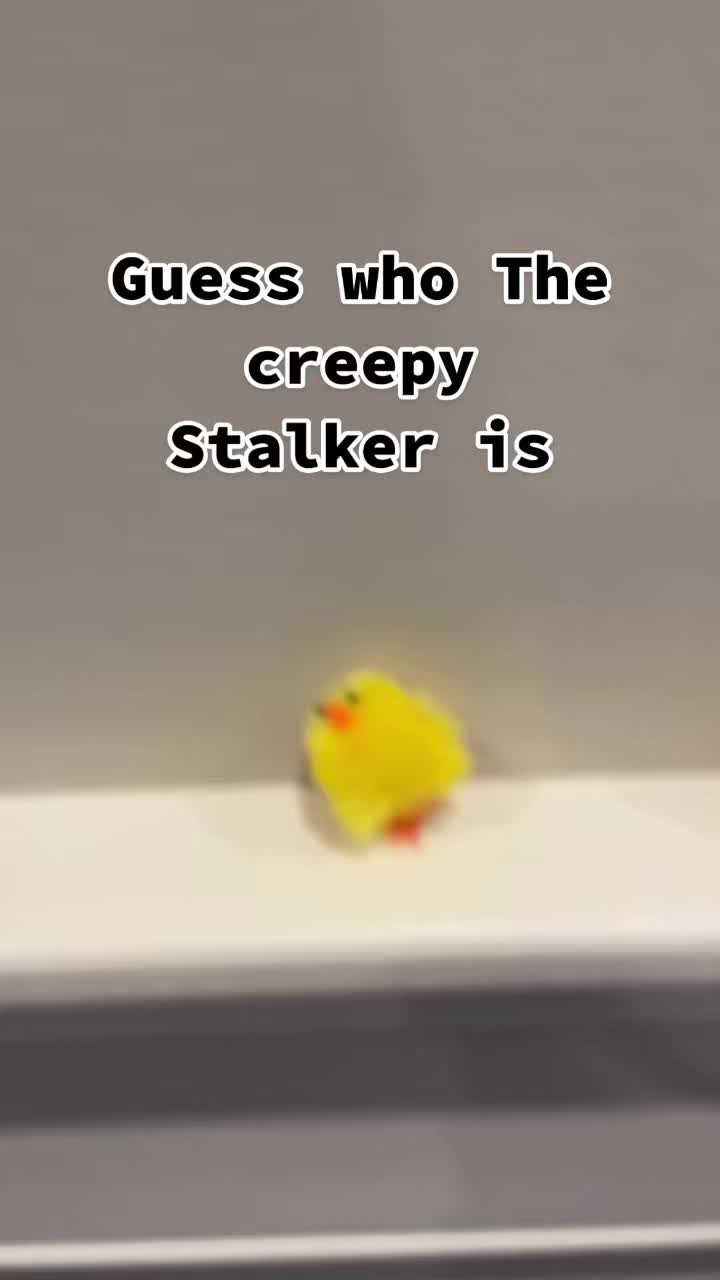 @kevin_the_chick_