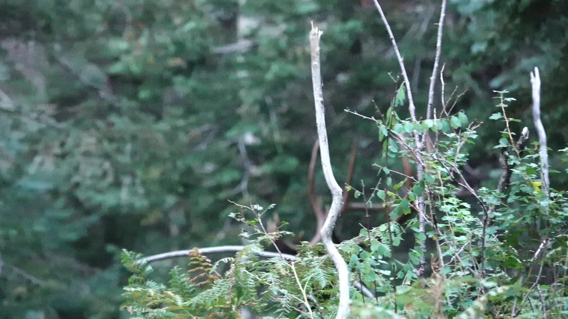 @whitemountainkrew