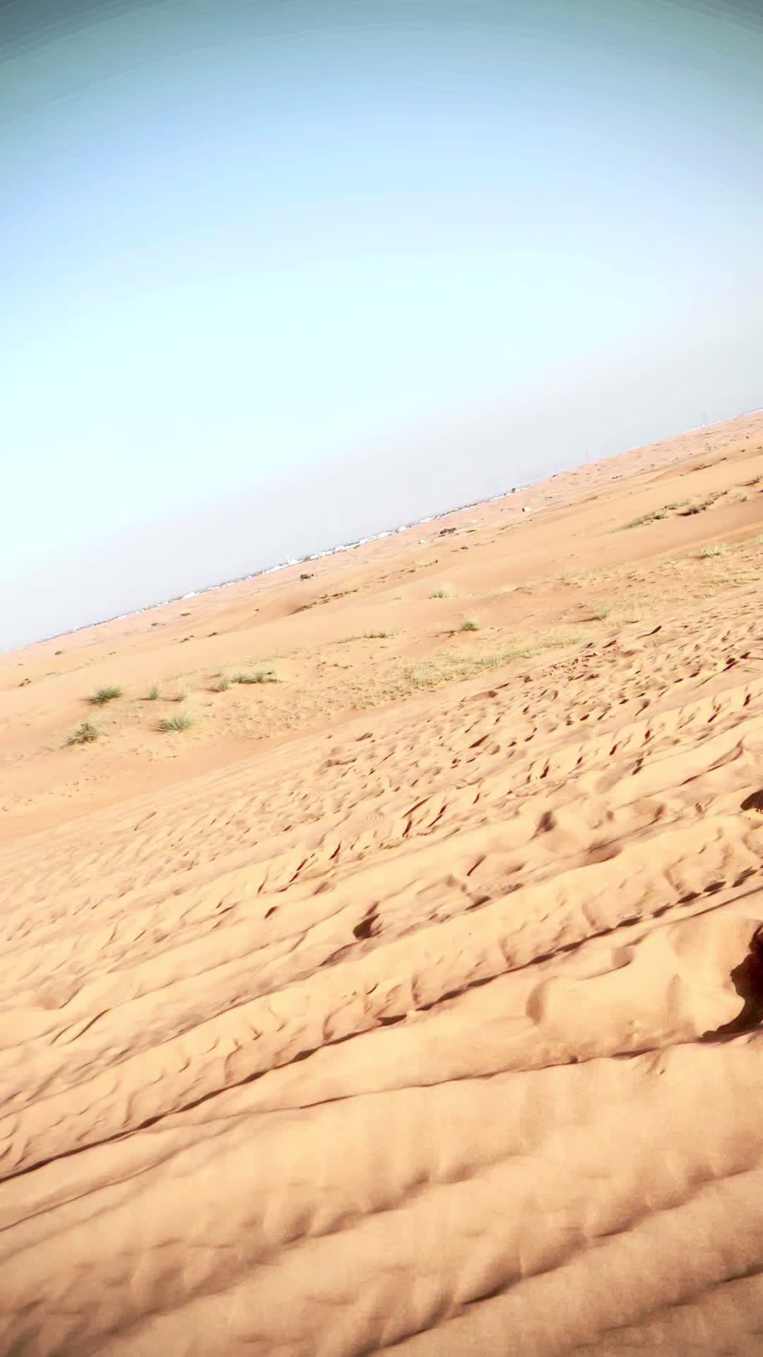 @SaaDi