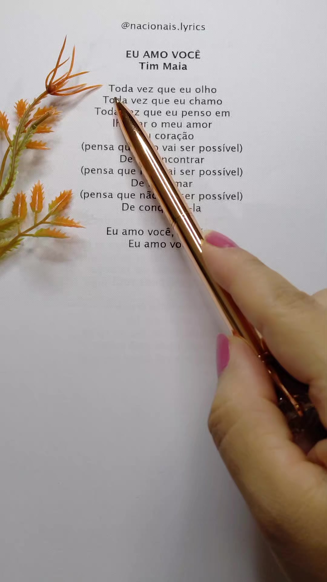 @nacionais lyrics