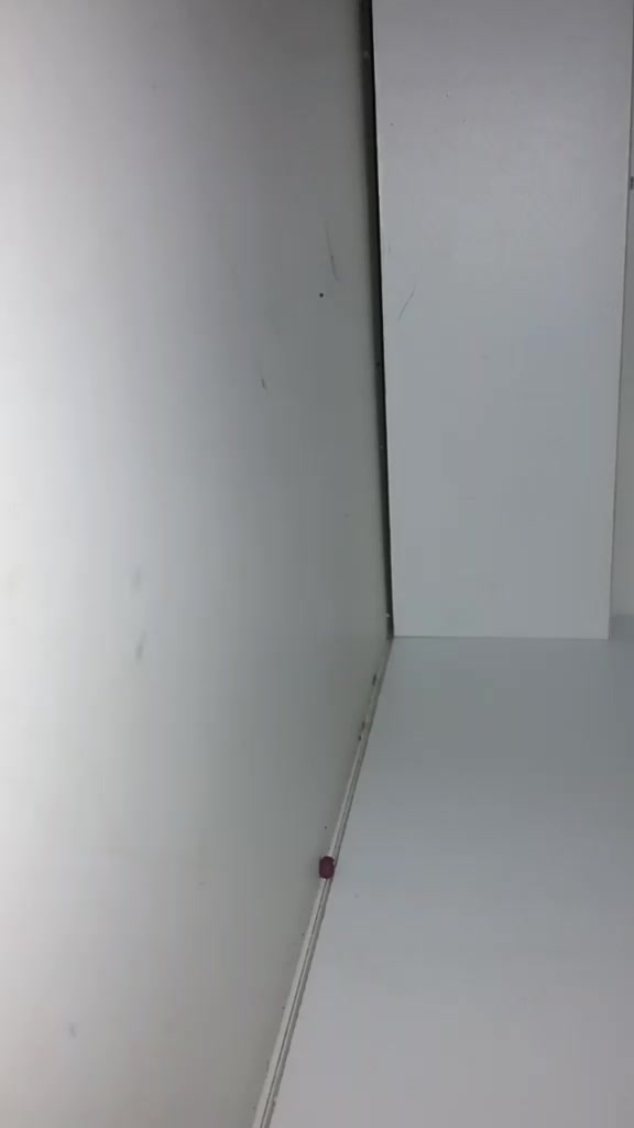 @duck