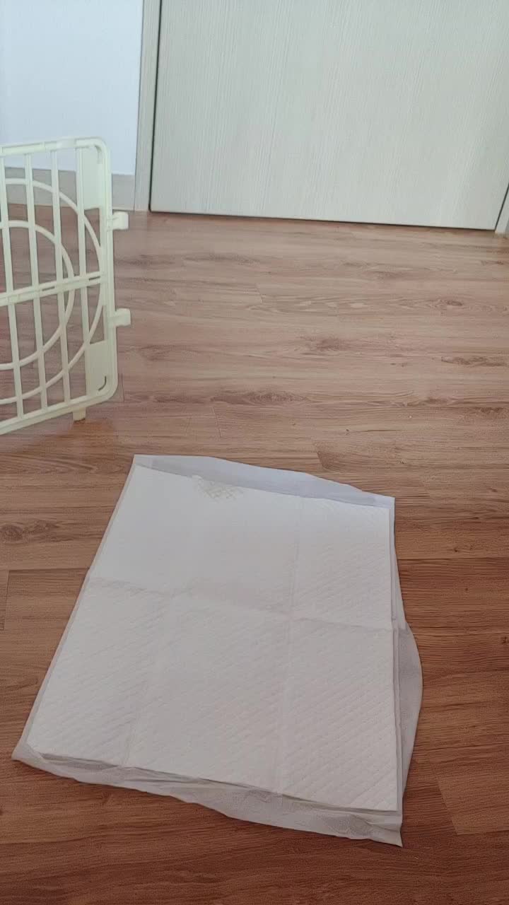 @땡롬쓰 해안경(?)