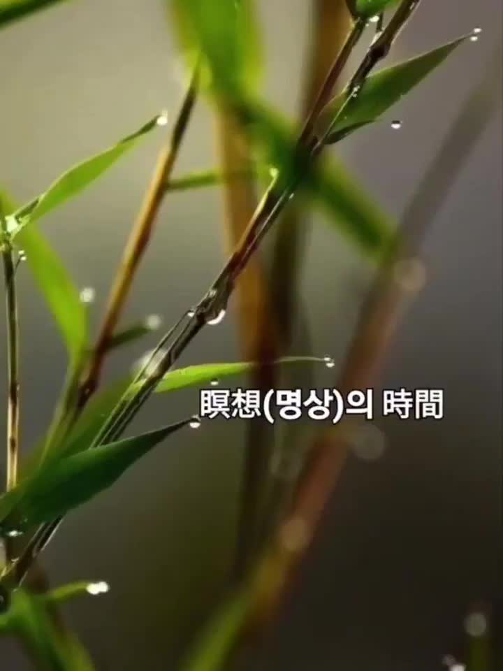 @바라보기