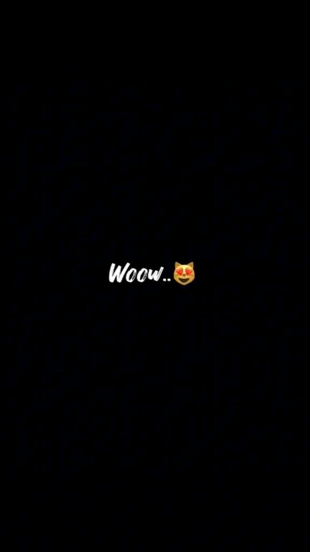 @rippu_axm
