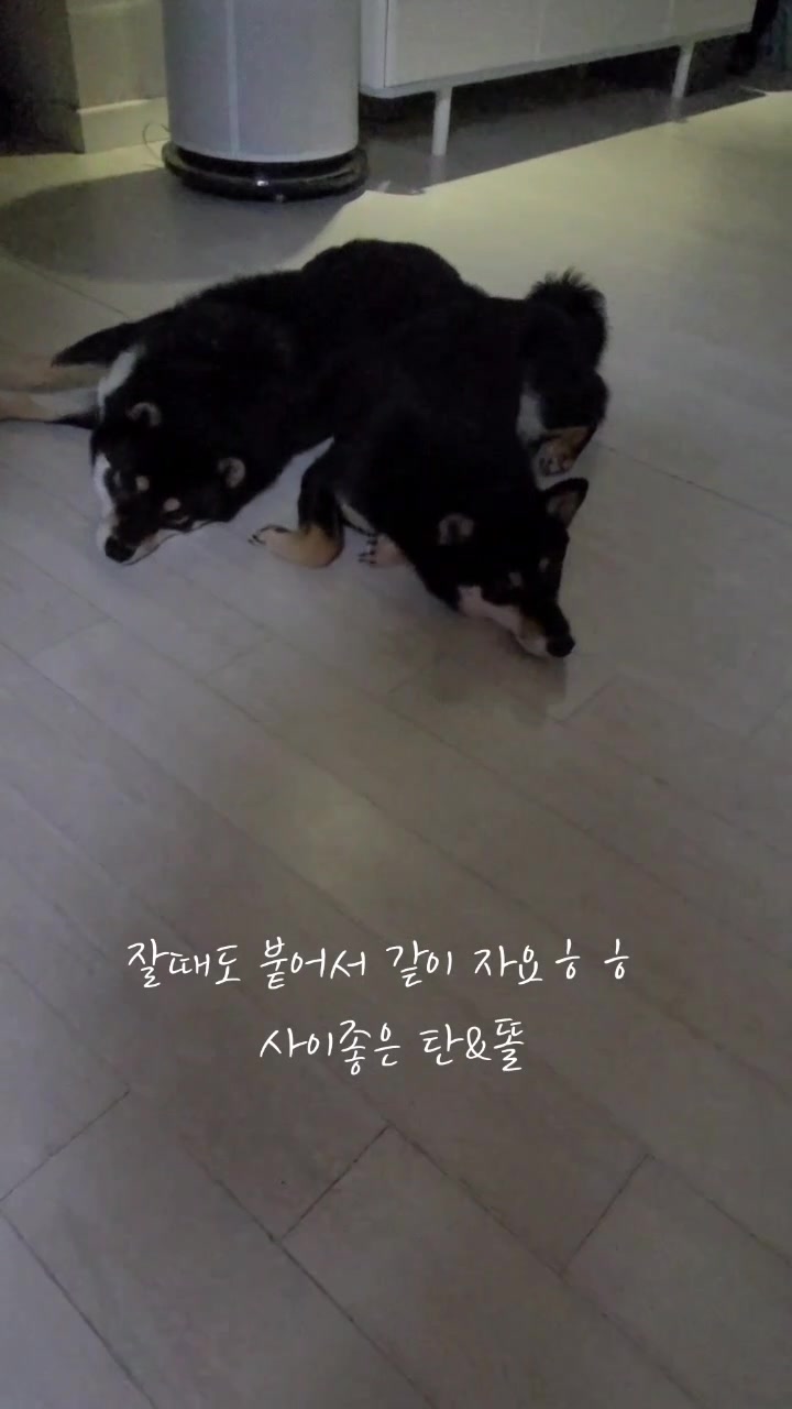 @연탄똘이