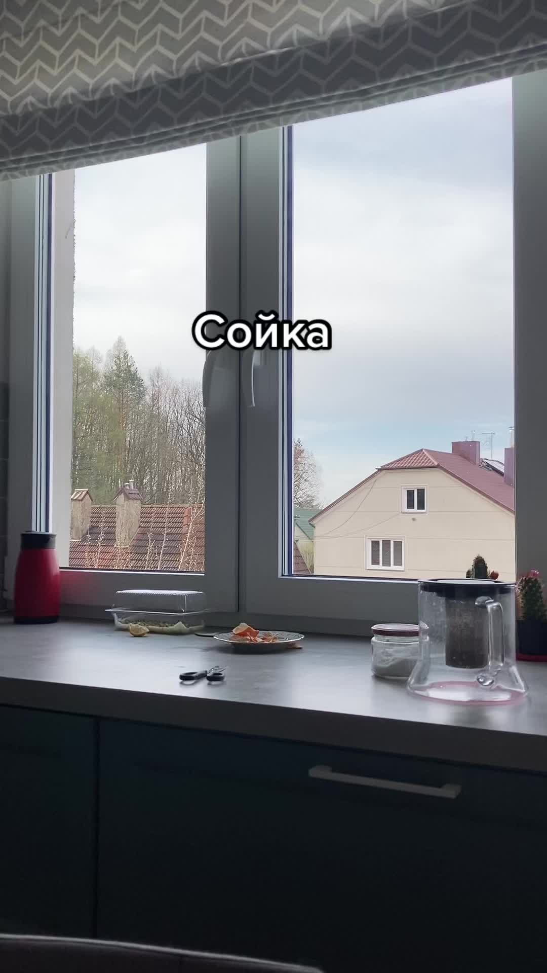 @Птахи, бьордвочинг, орнітолог