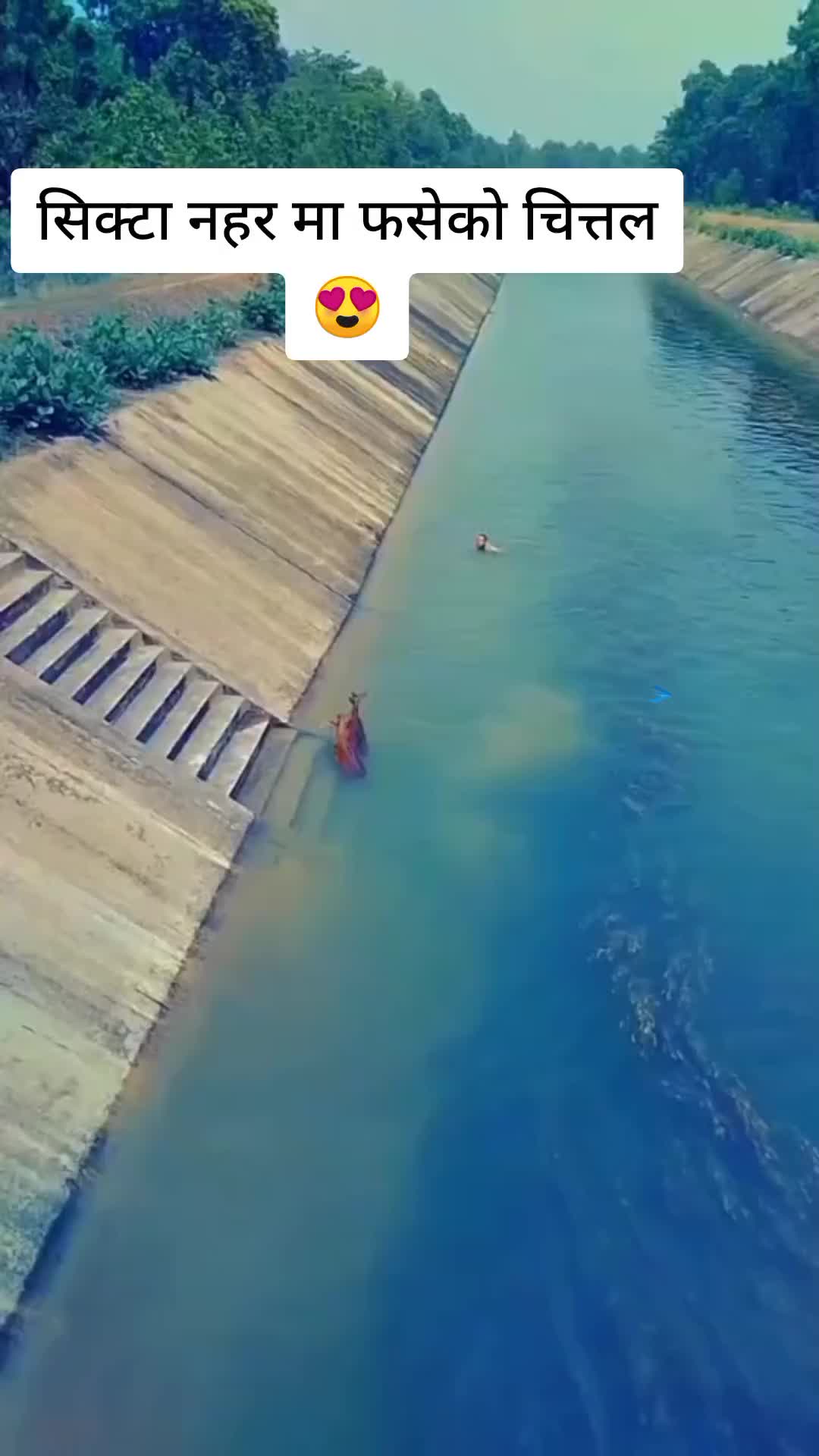 @थापा काजि🙏🙋♂️