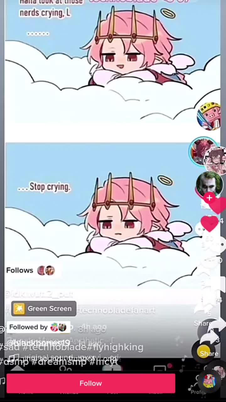 @Ranboo.Live