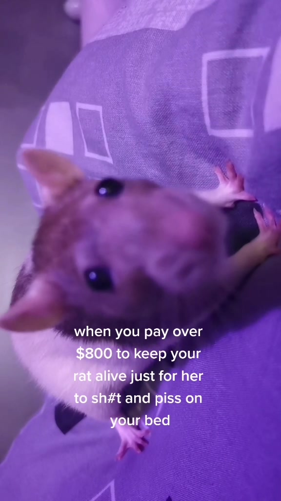 @bonnie <3