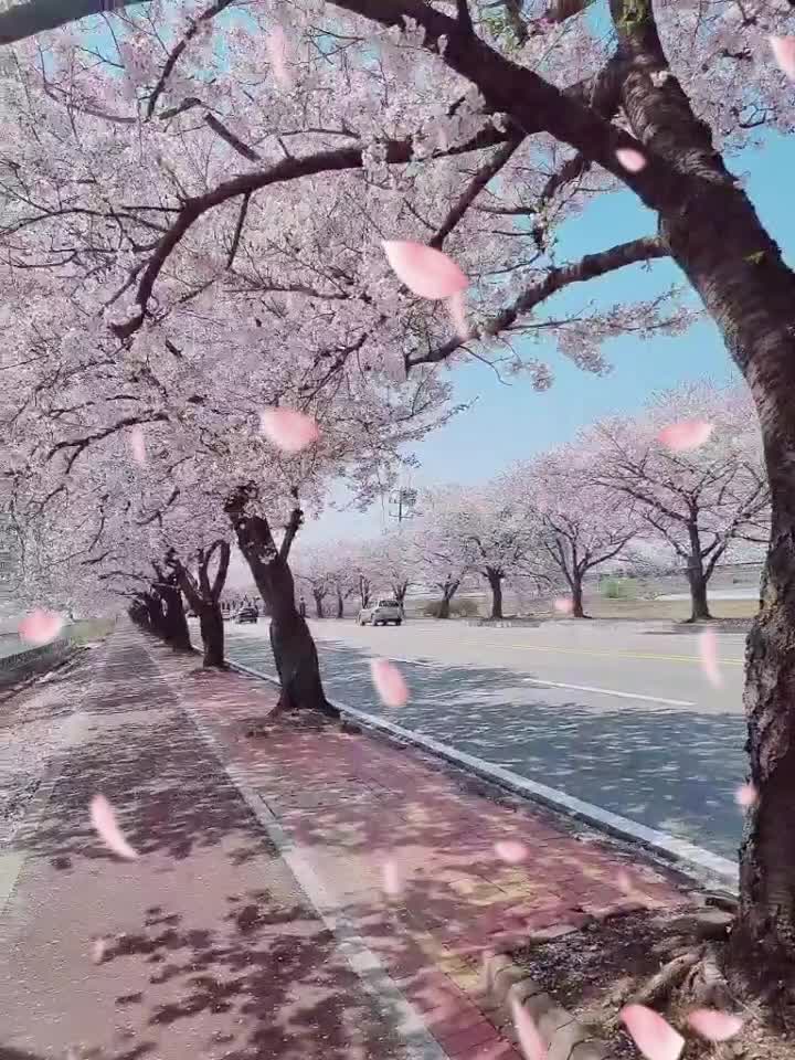 @Taeyun Lee