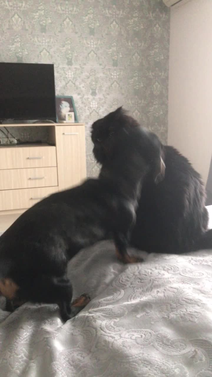 @МОНАВЛЮ