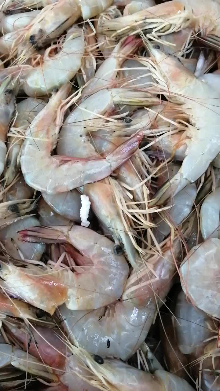 @fish mart@007