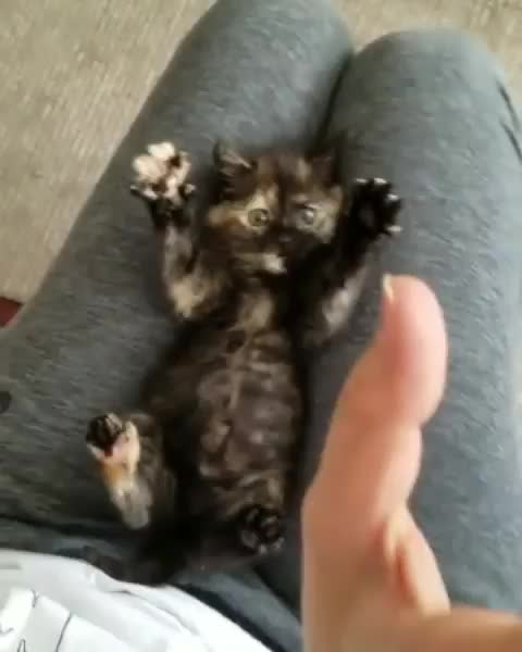 @๐๐
