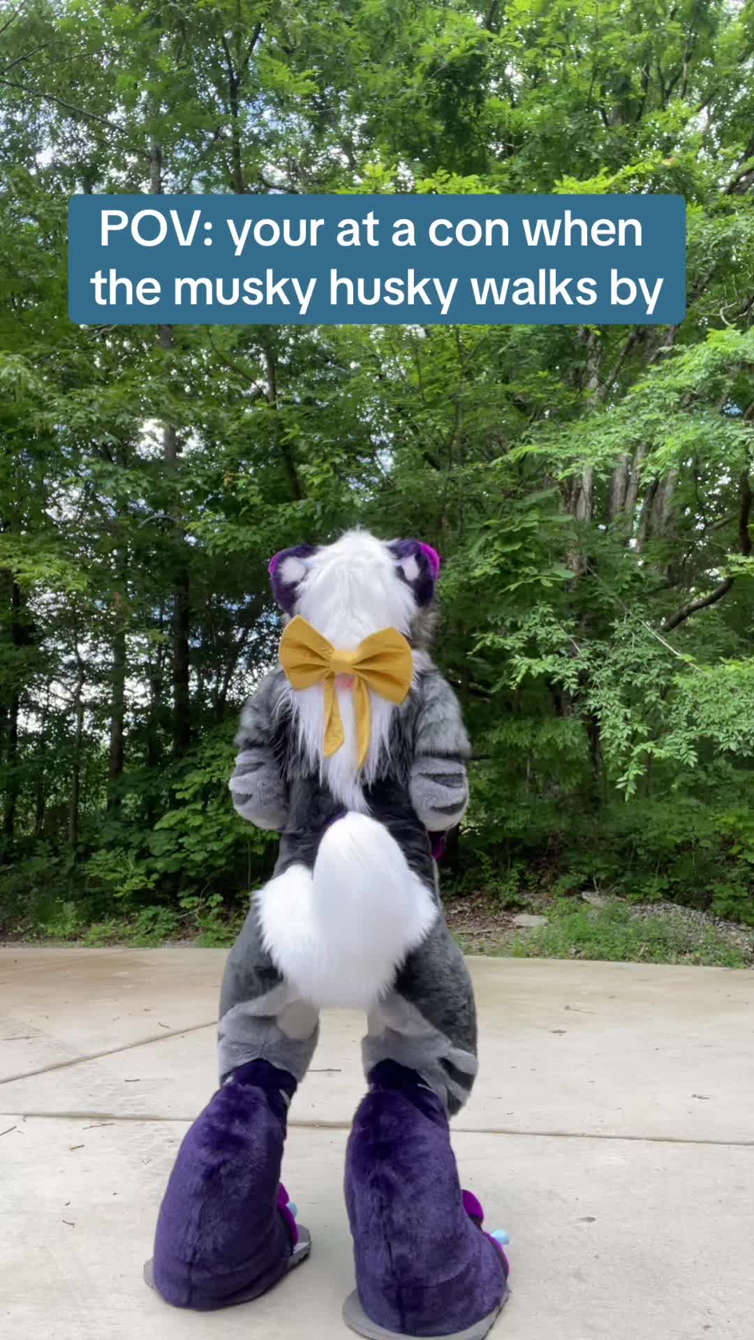 @⟡˙⋆Jazz⋆˙⟡