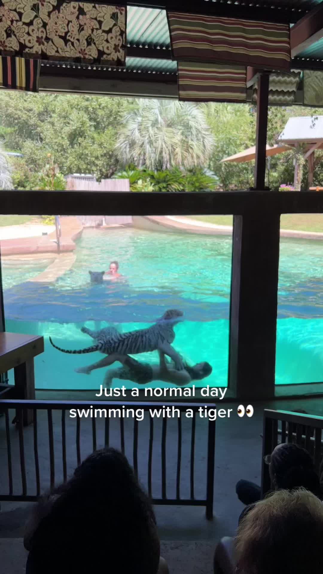 @Myrtle Beach Safari