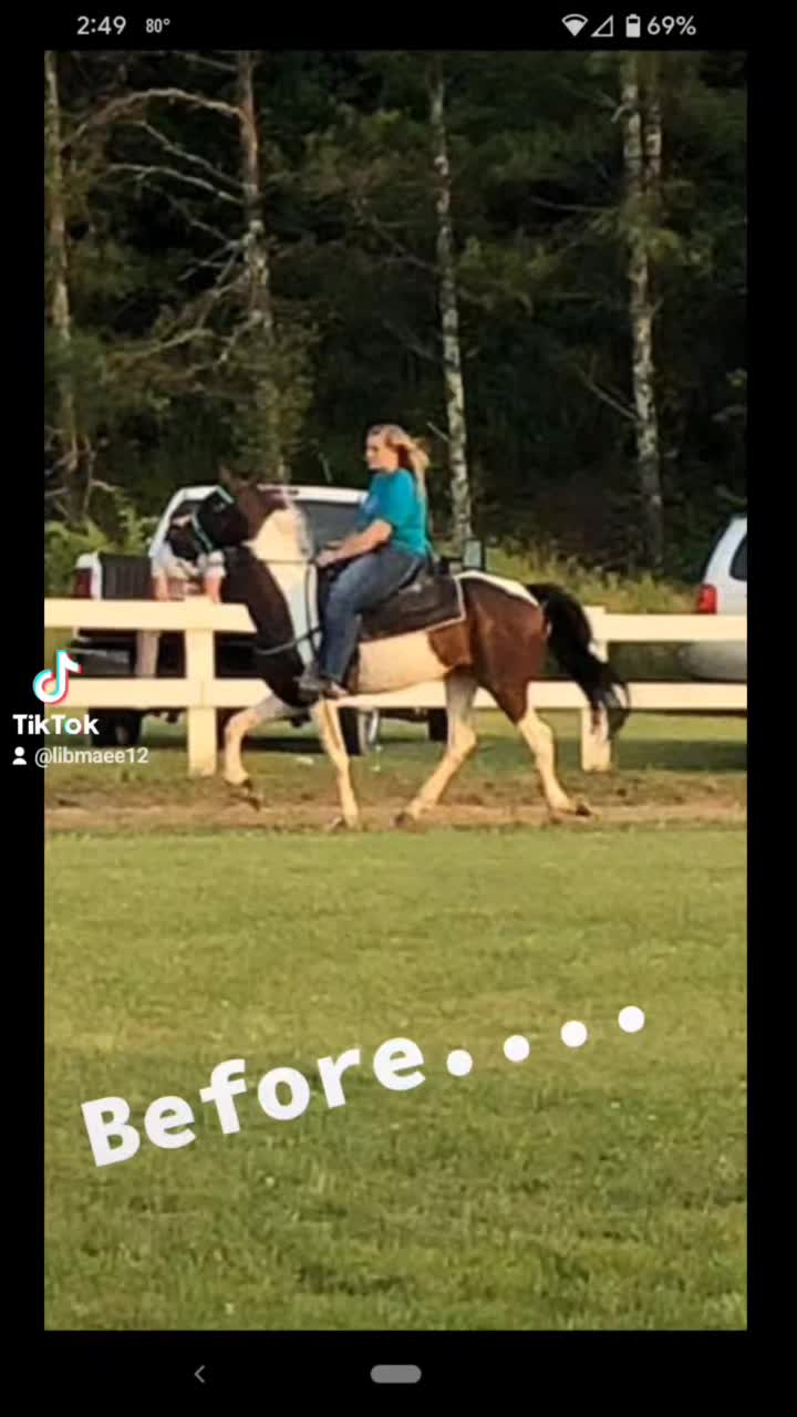 @Mane Stream Stables