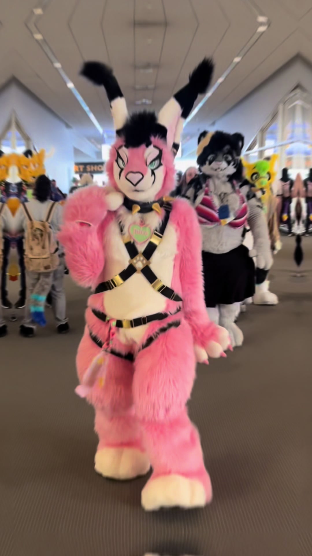 @Juice the Caracal