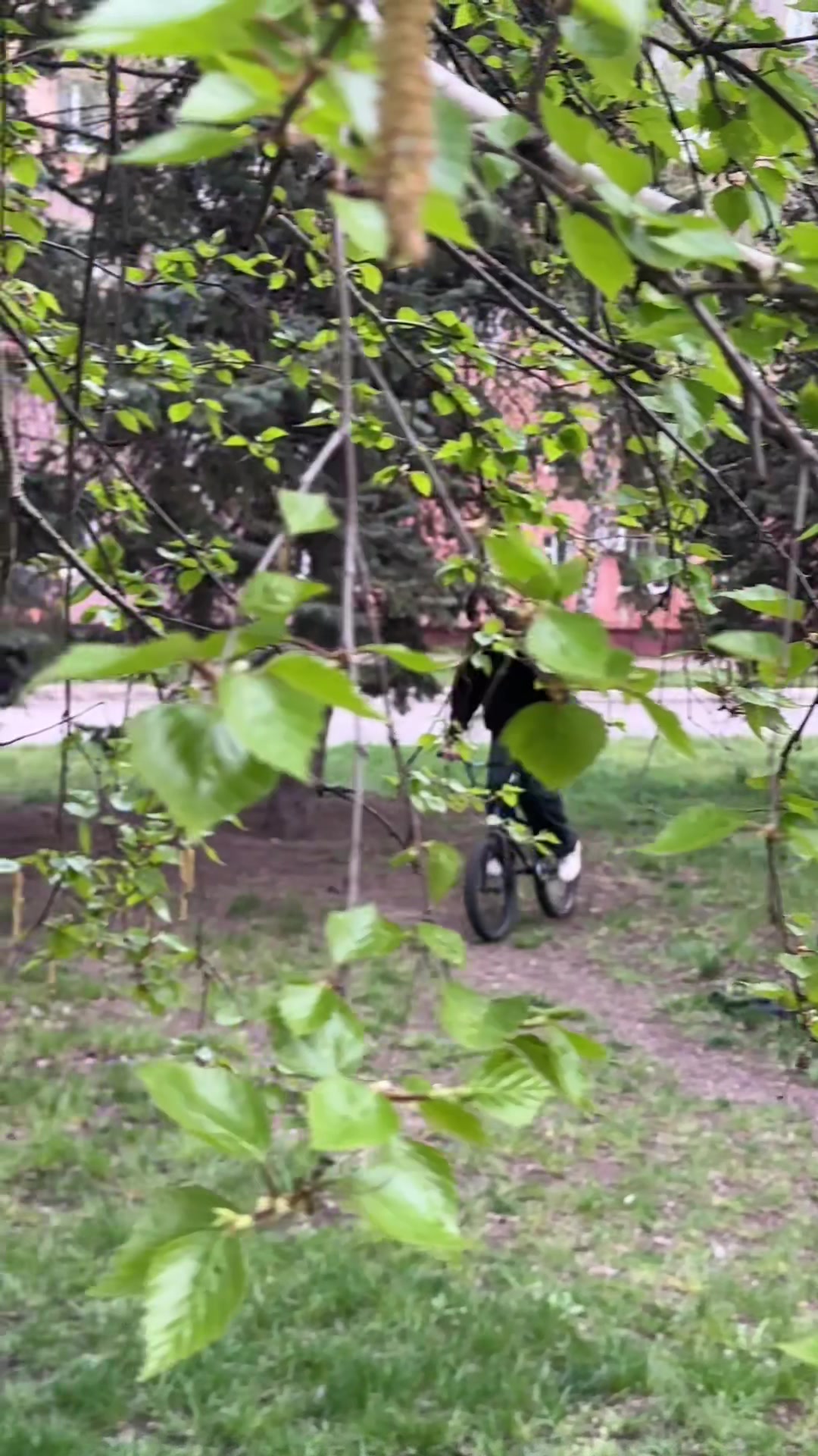 @swaggbmx