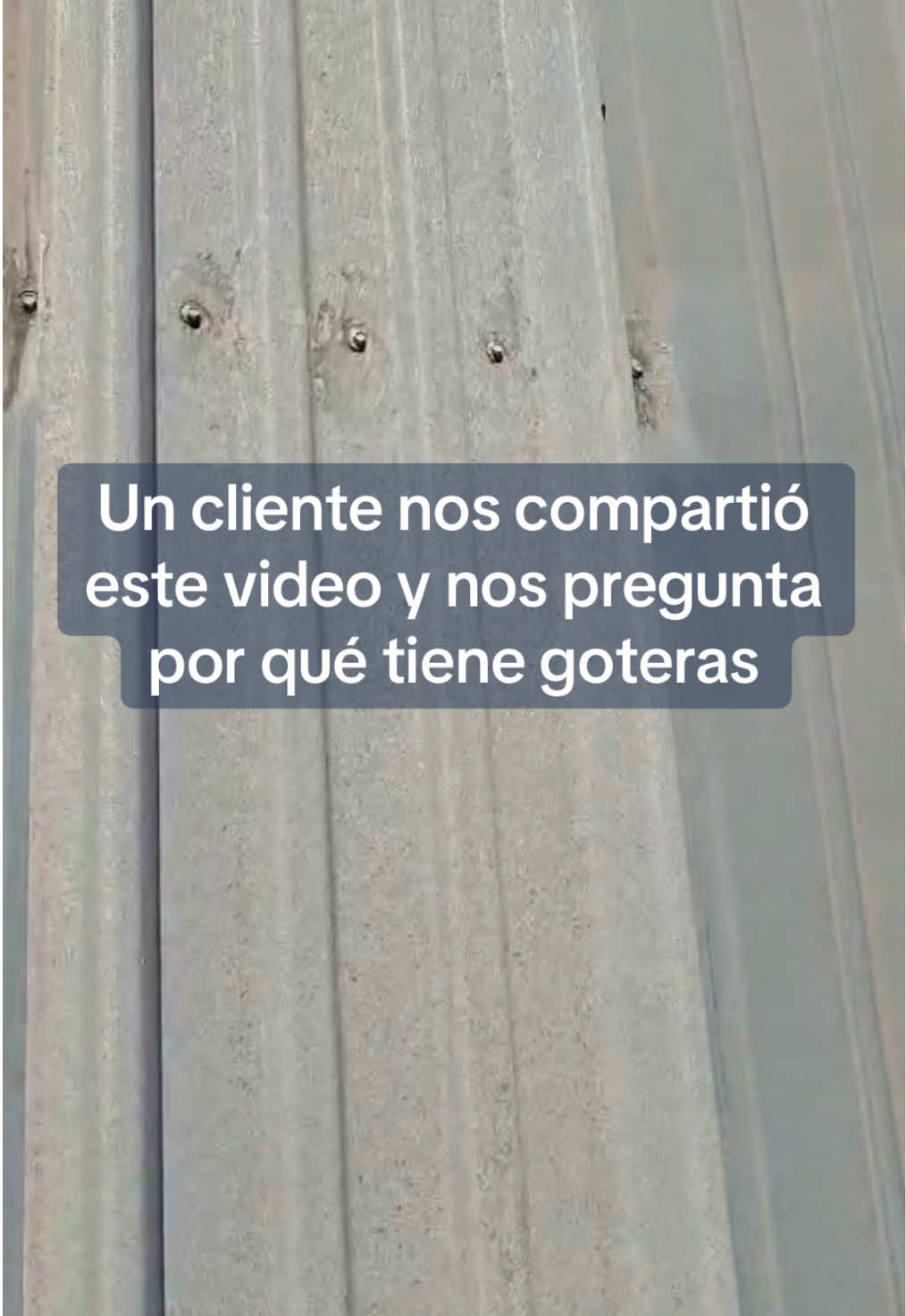 @PolicasaQro