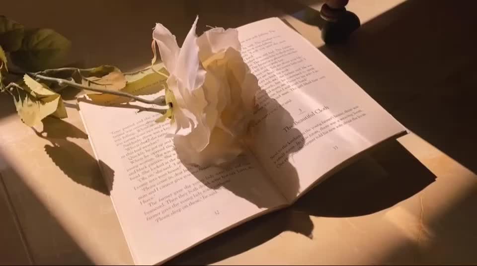 @Aestheticvibes12