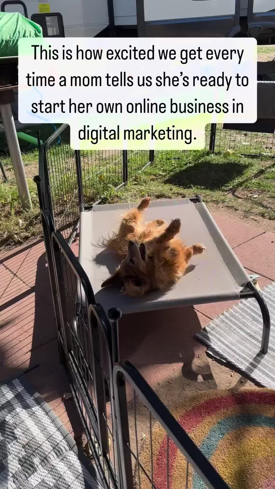 @Amanda || Digital Marketer