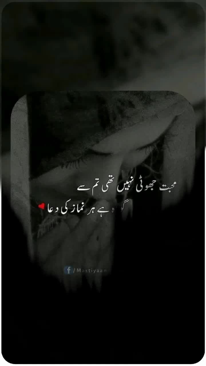 @🦅آوارہ_پرندہ🦅