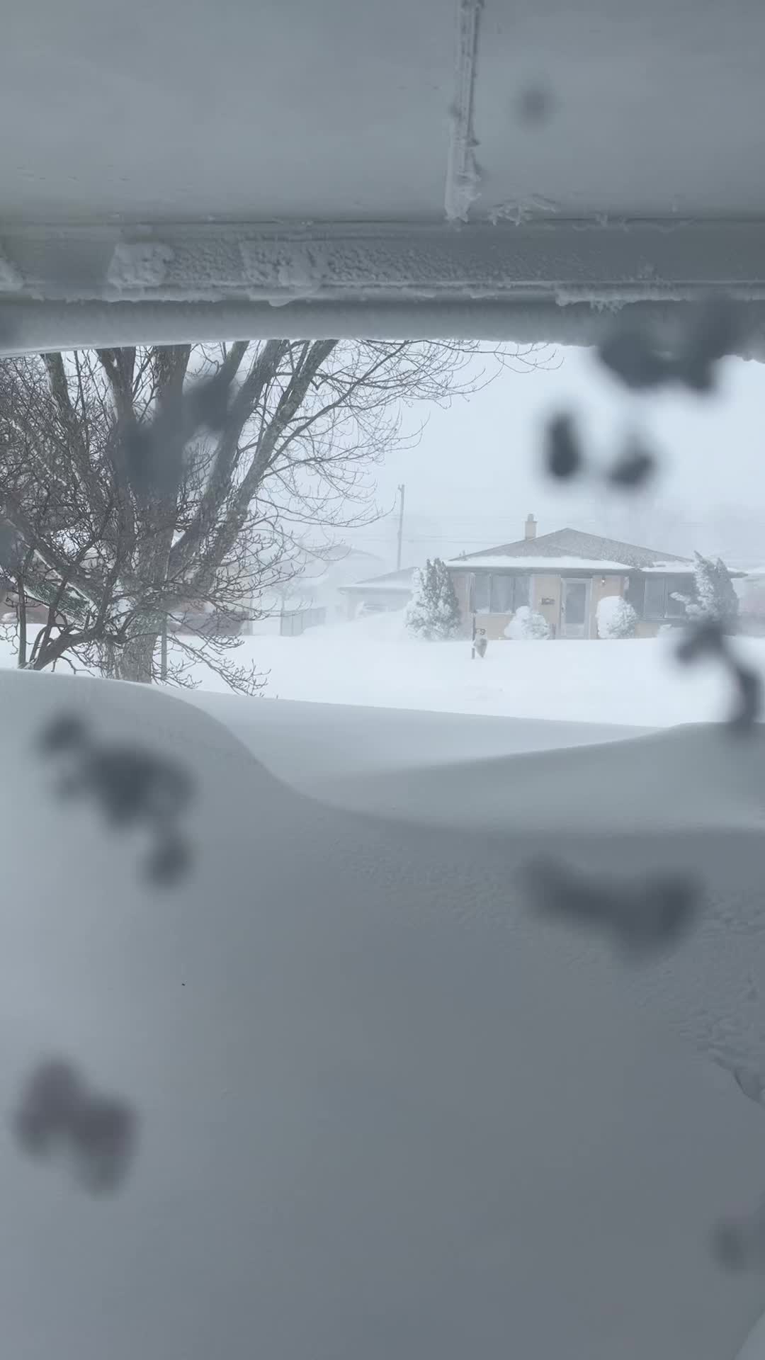 @Ayanna