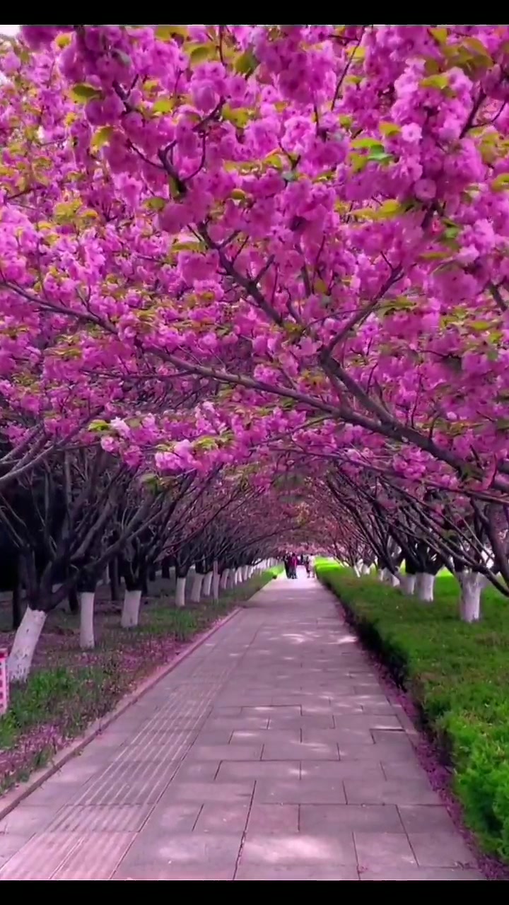 @Natural scenery