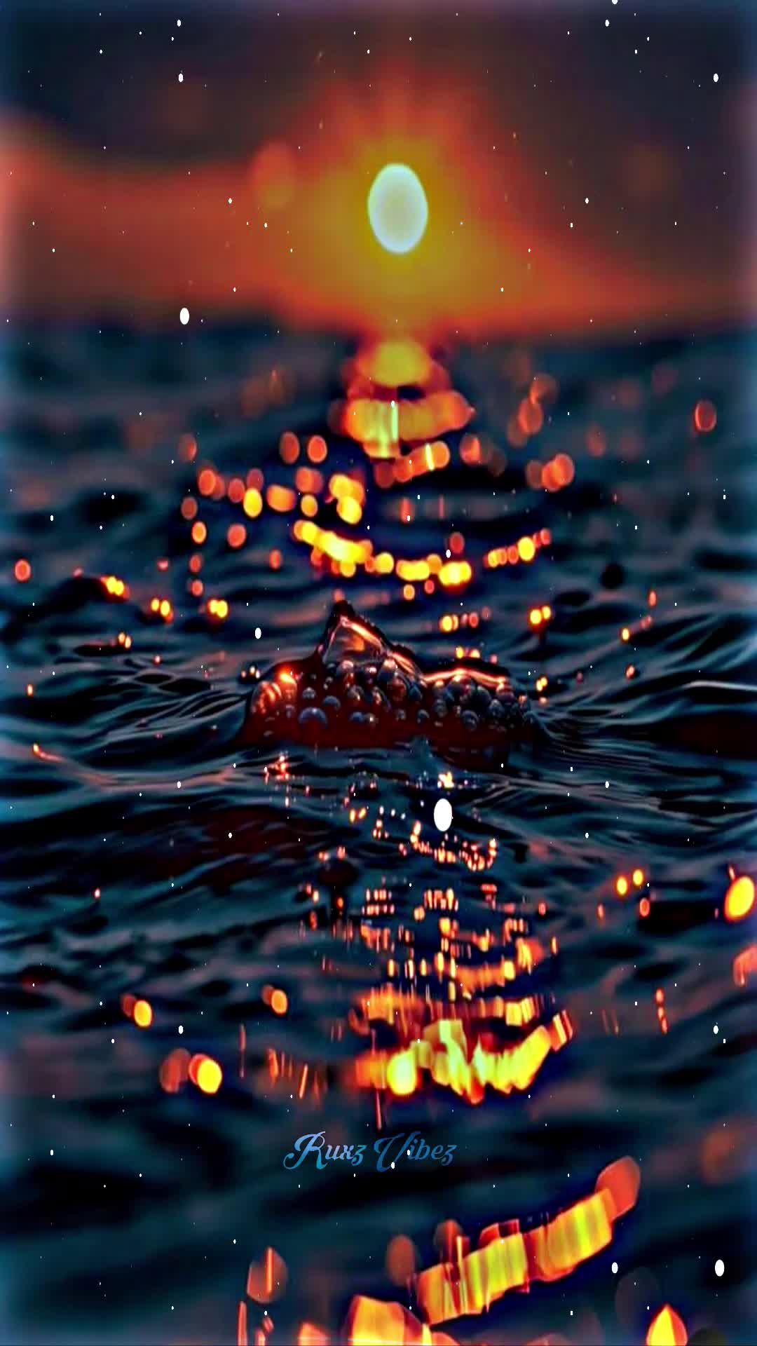 @☆FVDVH RUXZ☆