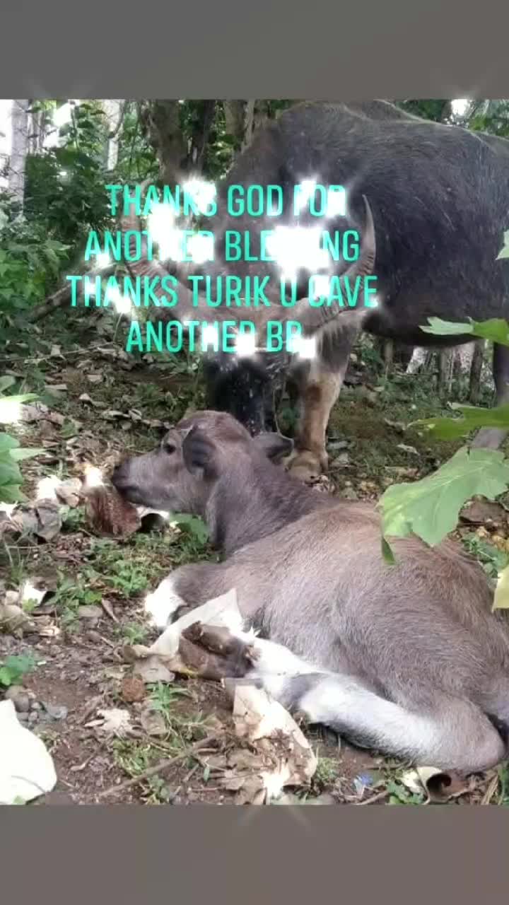 @Ȼᴏᴍɪʟʟᴀ Ŧᴏᴘ❶