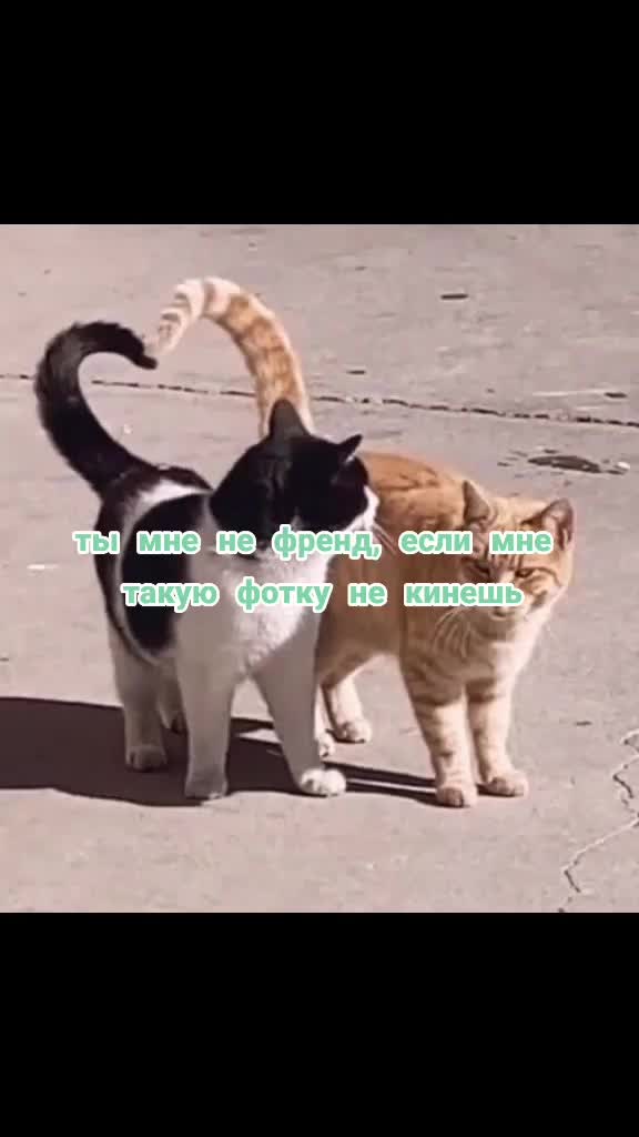 @комертат