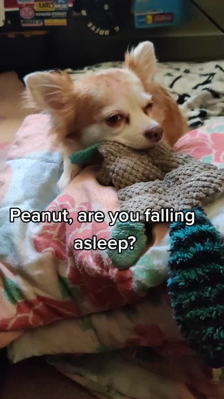 @CNPXLIFE