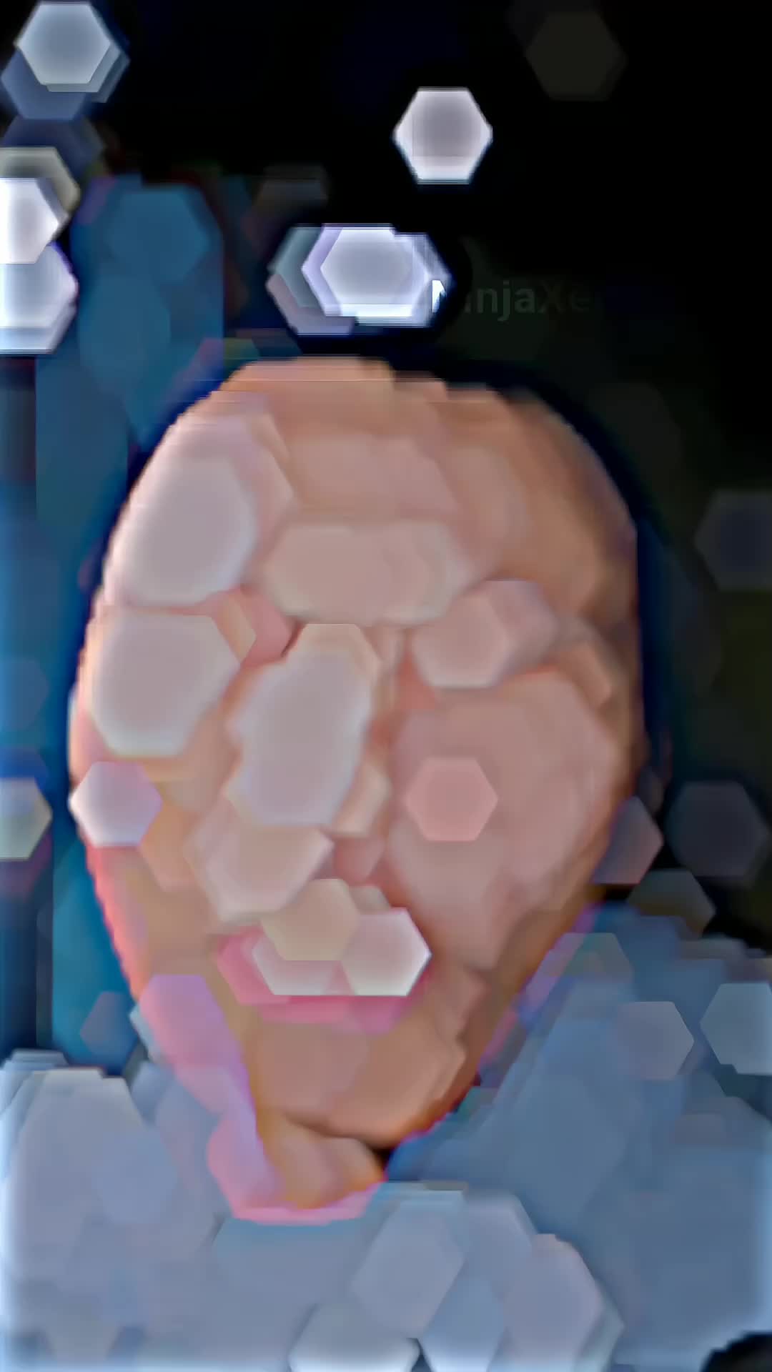 @🇳&nbsp;🇮&nbsp;🇳&nbsp;🇯&nbsp;🇦&nbsp;✗ҽժ丨́Ե乂