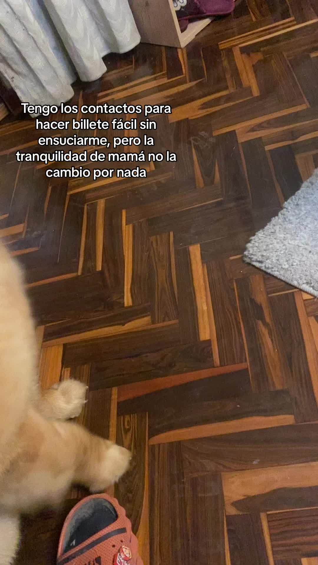 @JosueOlivares 🦍