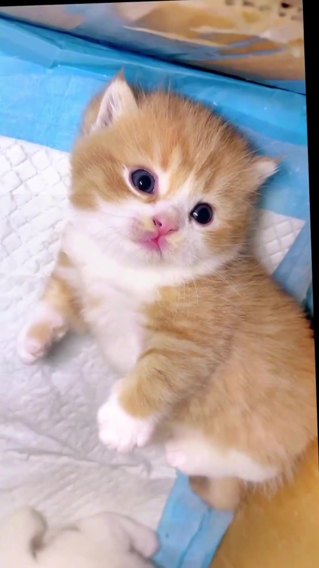 @dfhdhhd22