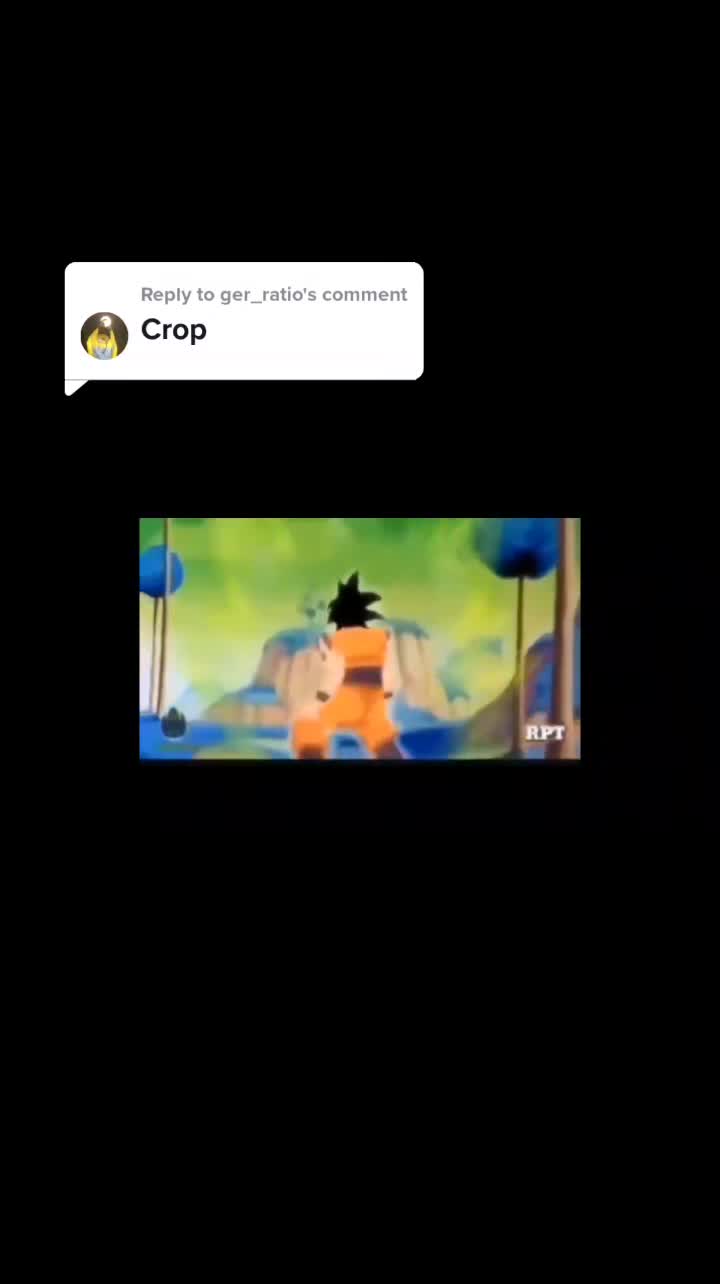 @BusBoo