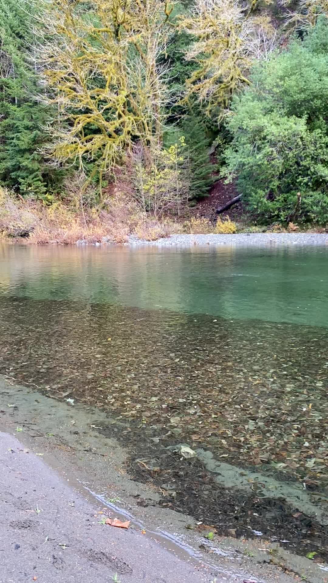 @Southern Oregon Coast