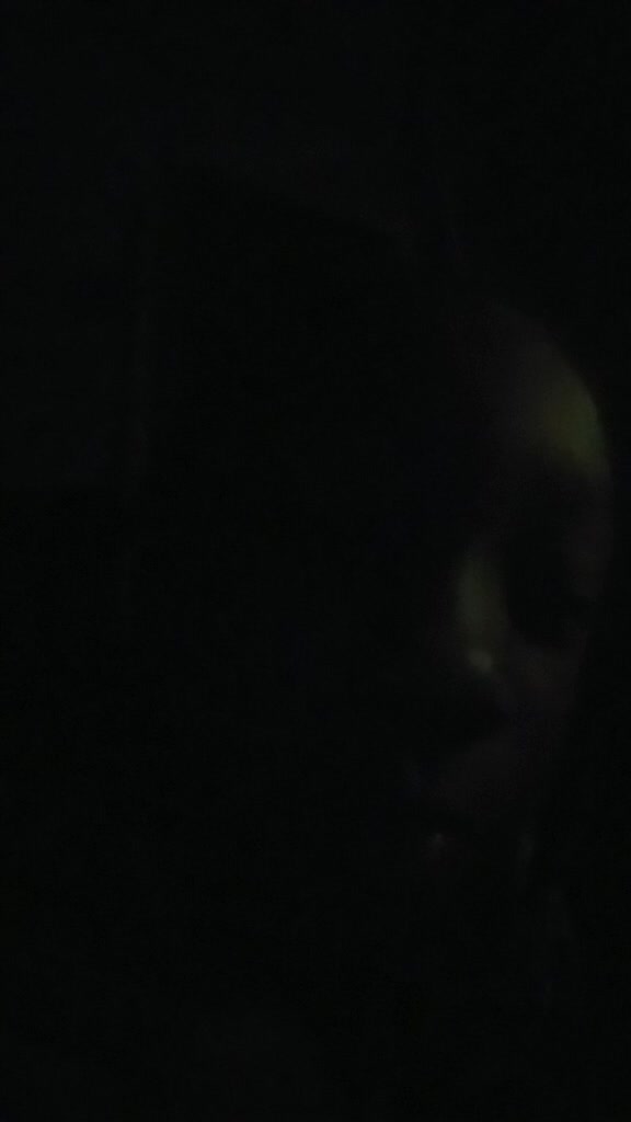 @Taquana Taylor
