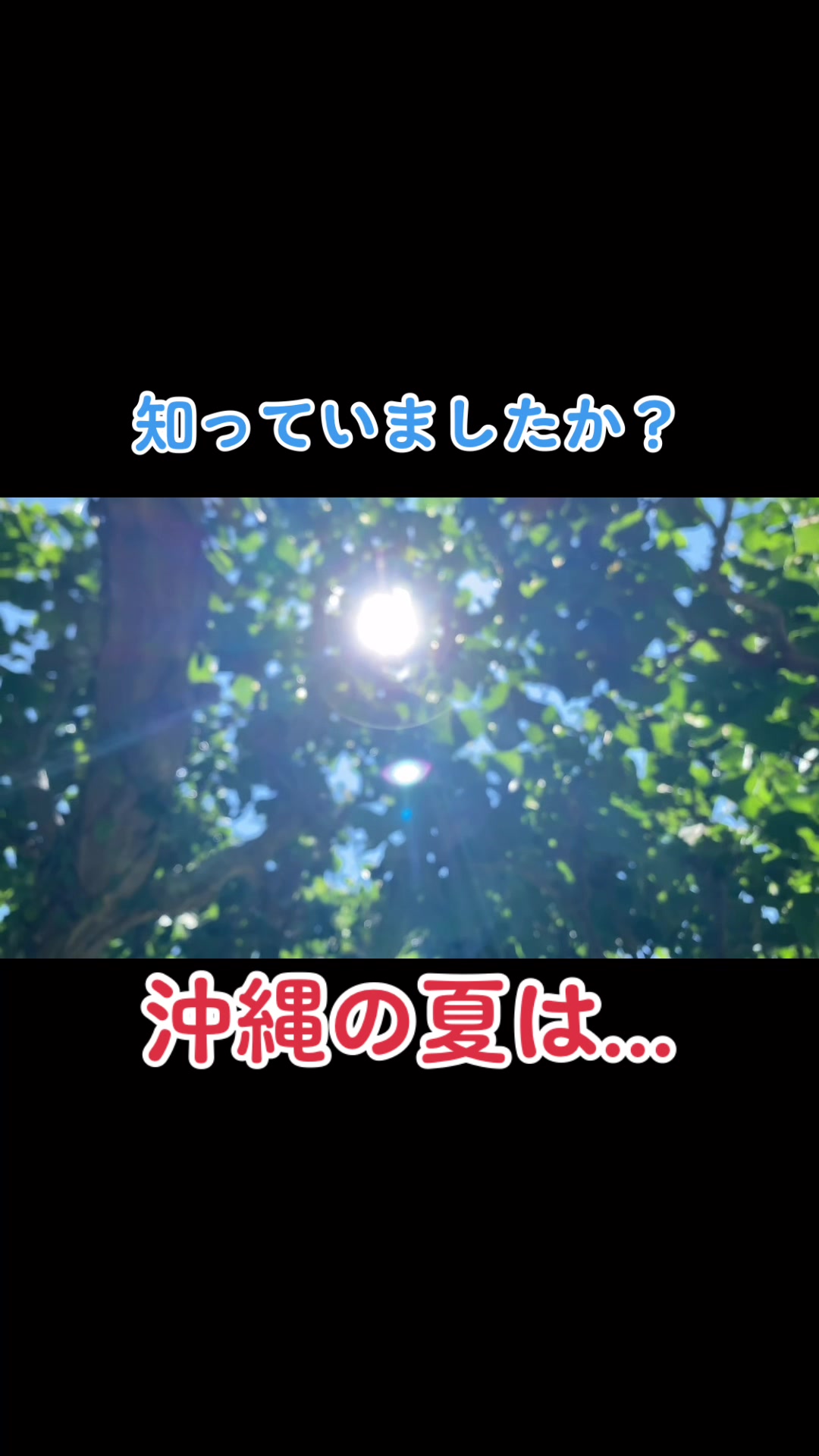 @une0222_FREEs