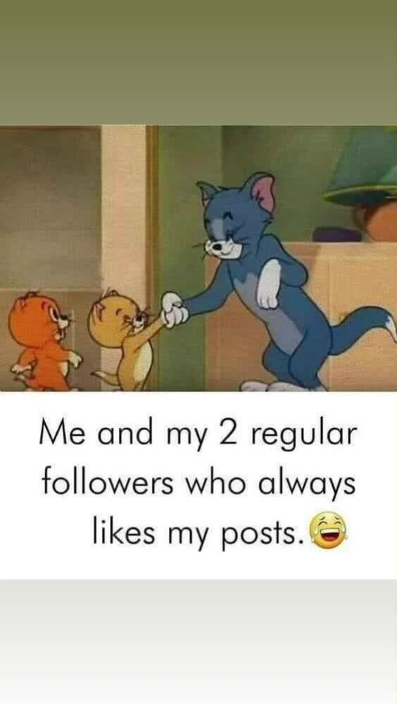 @#Puffinry