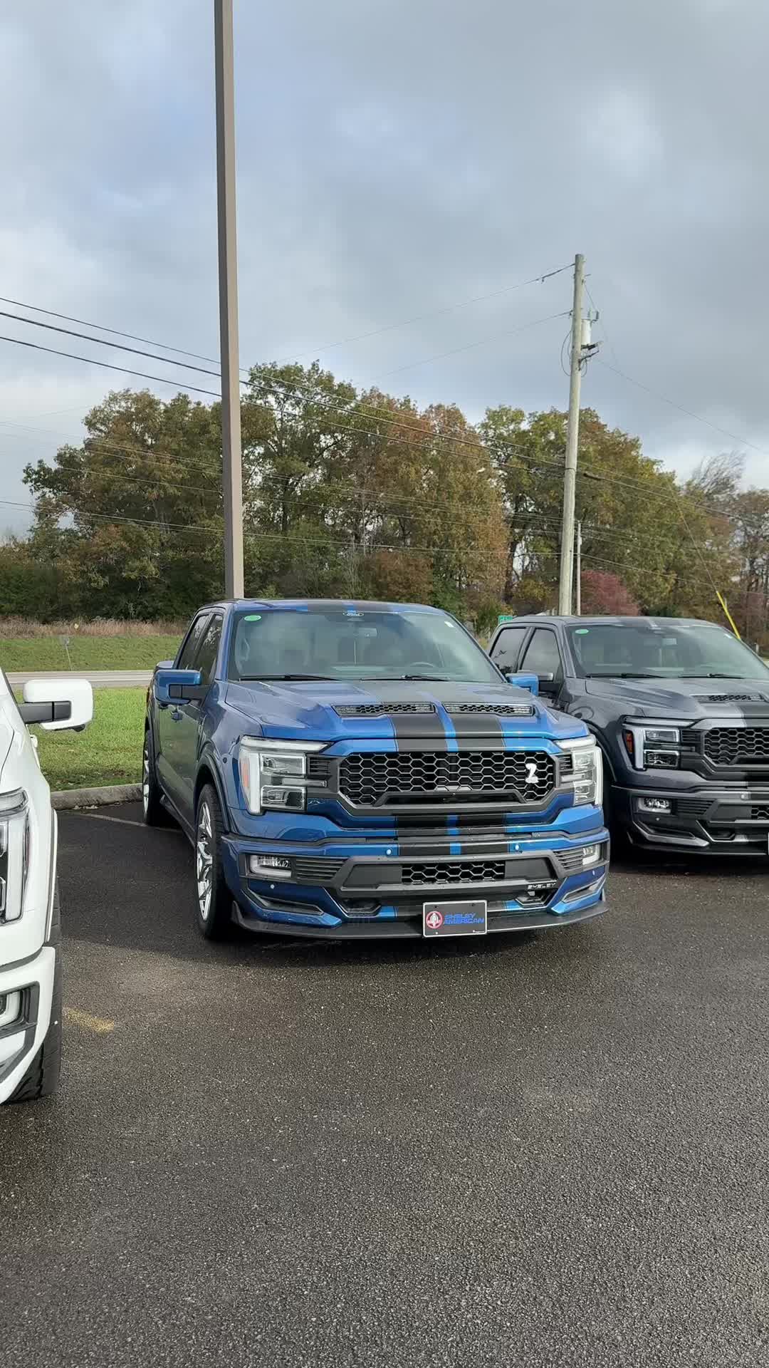 @Reddick Brown Ford