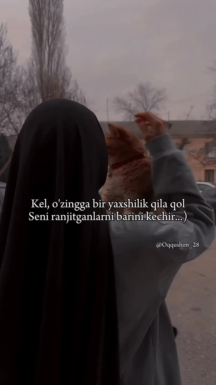 @꧕&Omicron;ϙϙ&upsilon;&omega;&iota;ϻ🌿🦢
