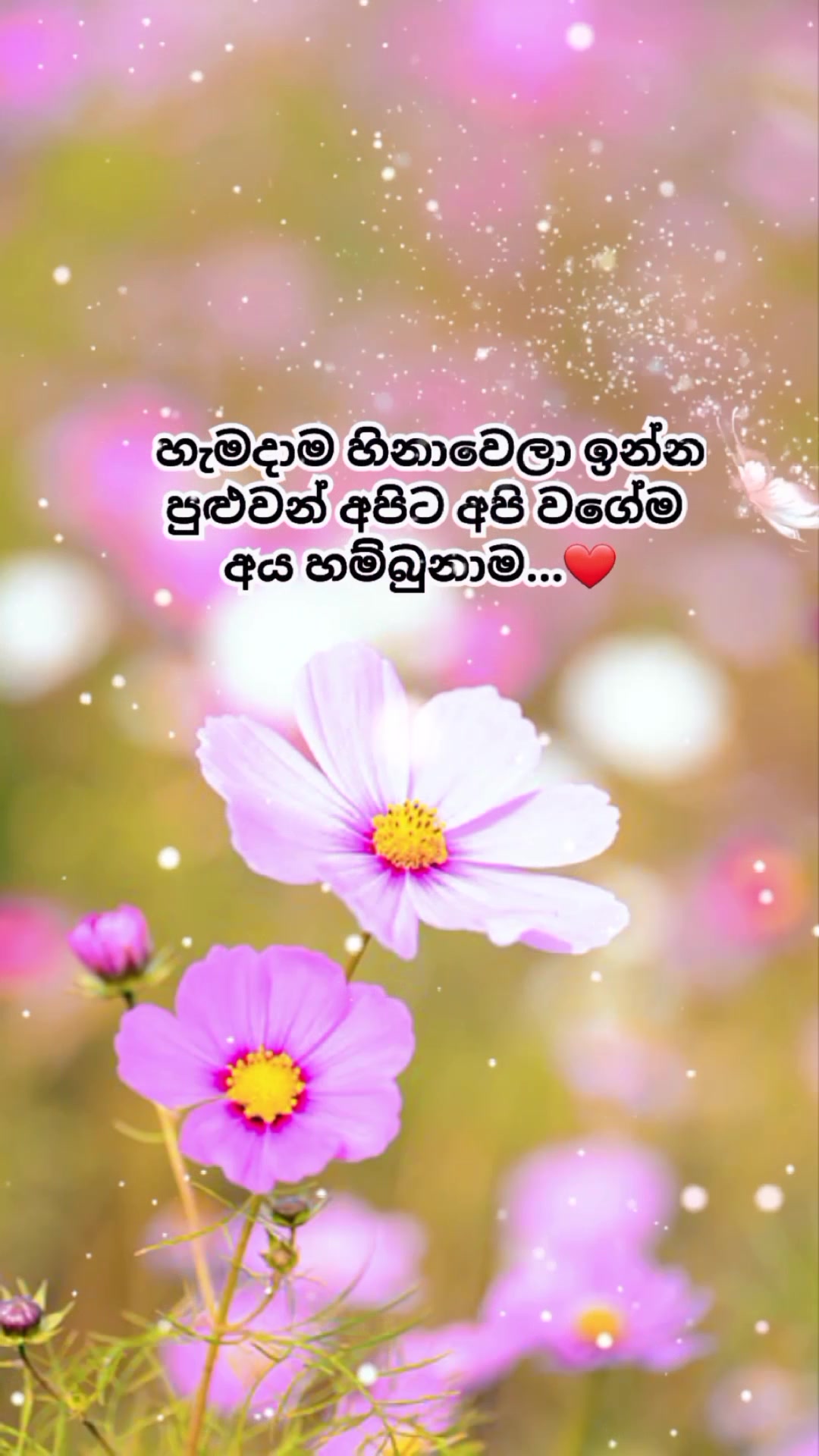 @Mashi