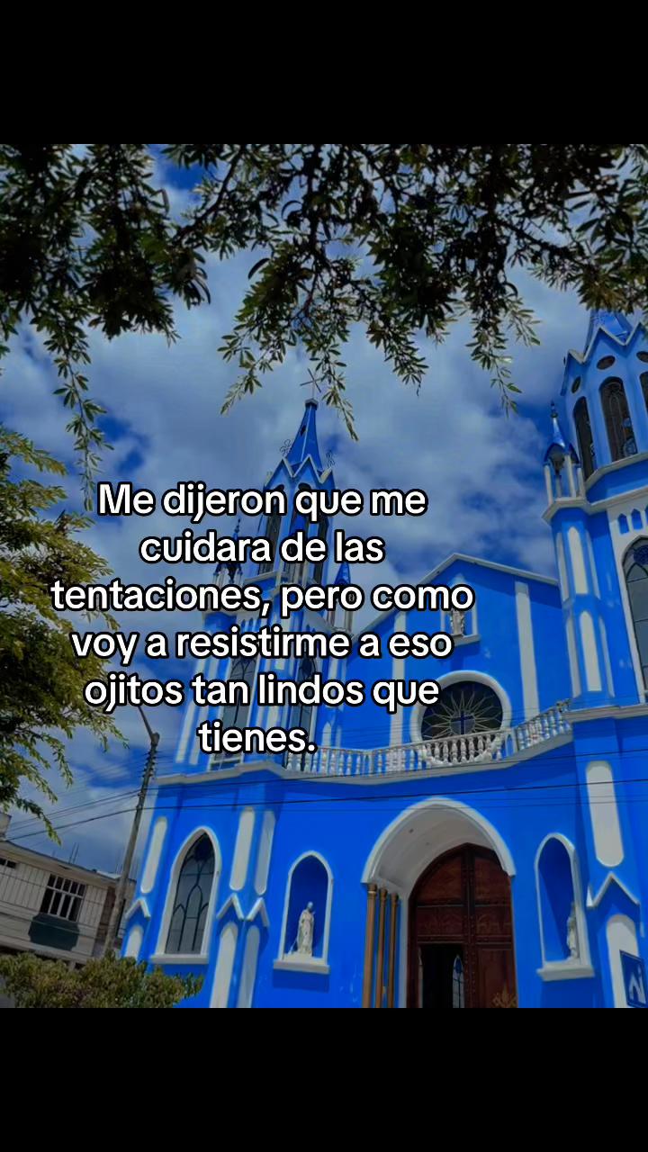 @Mayc 🐯