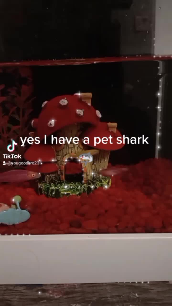 @yougoodbro