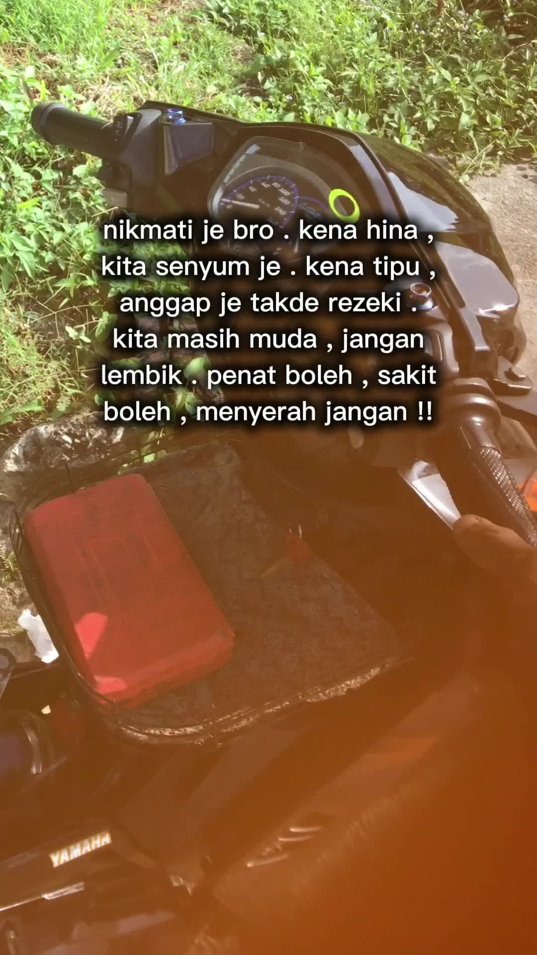 @Nialkecik🔍