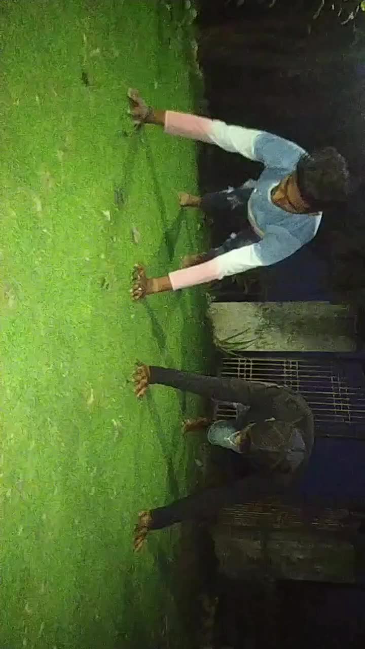 @rohan_choudhary_hp36