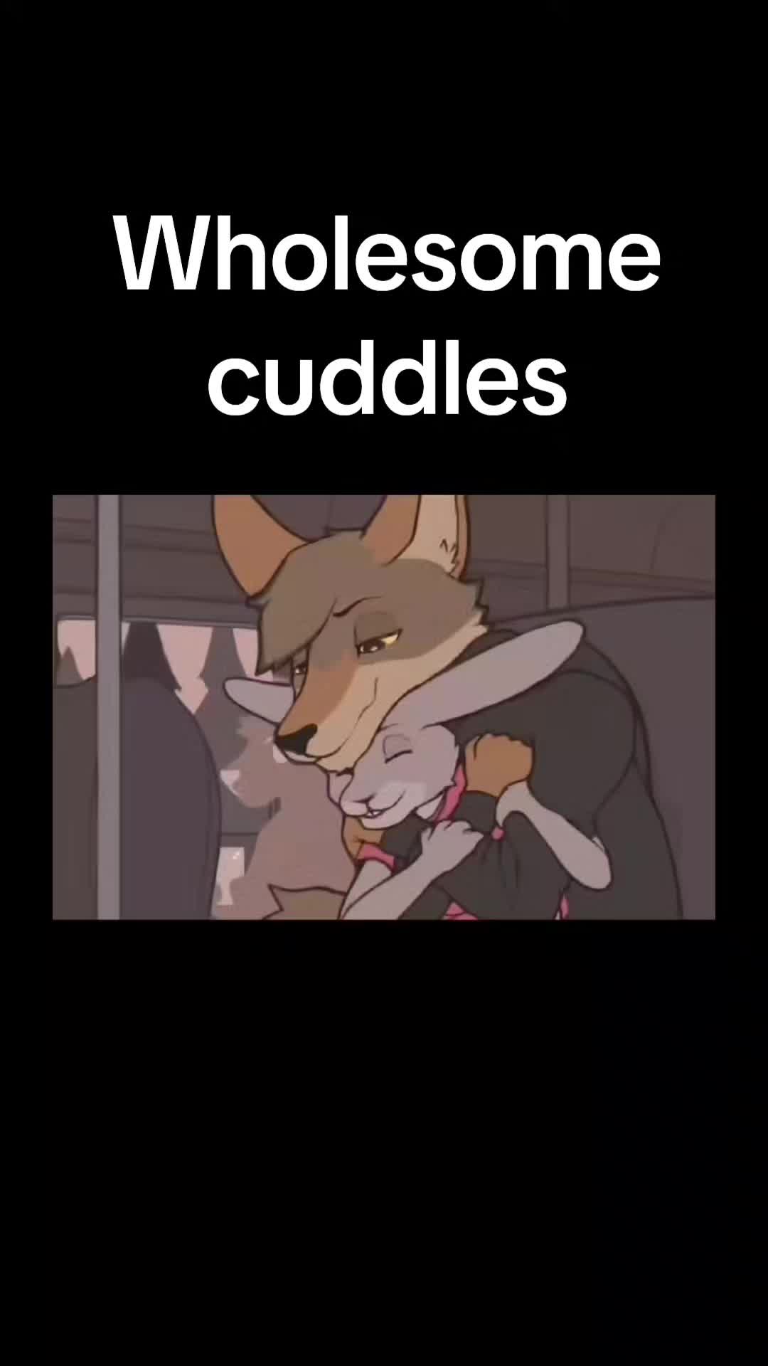 @THE SLY Rexouium