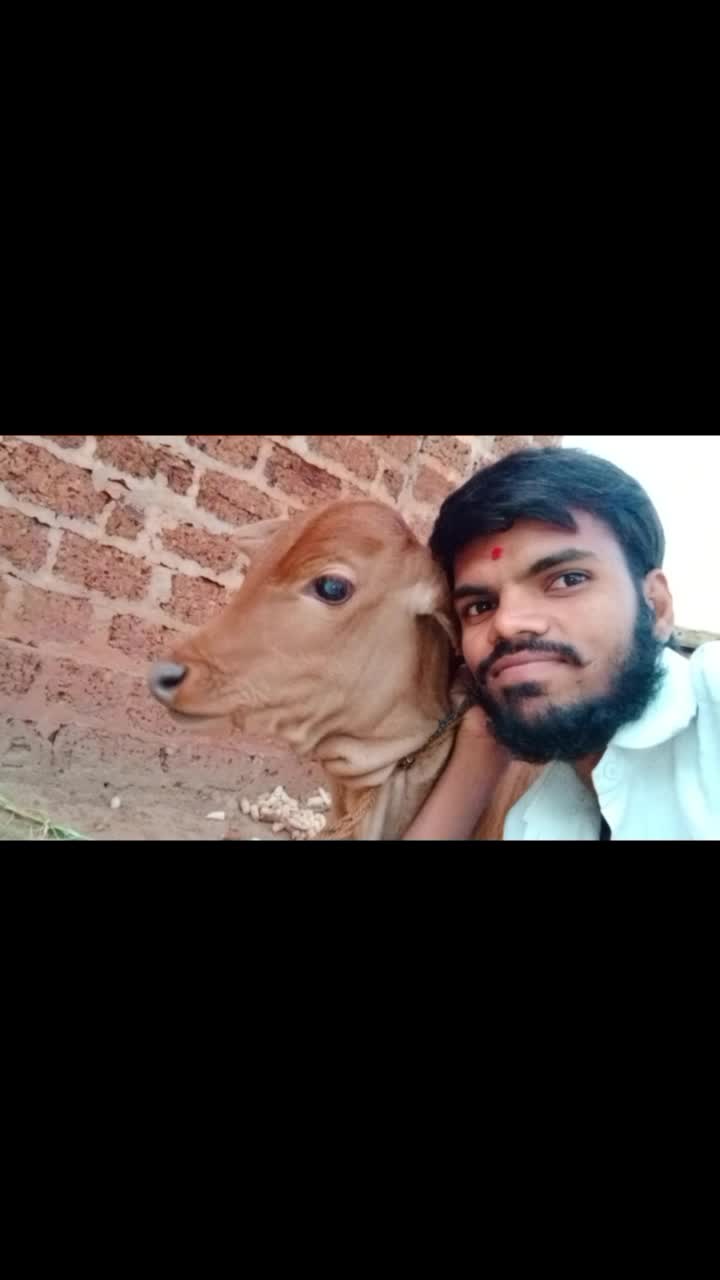 @user8642210878031