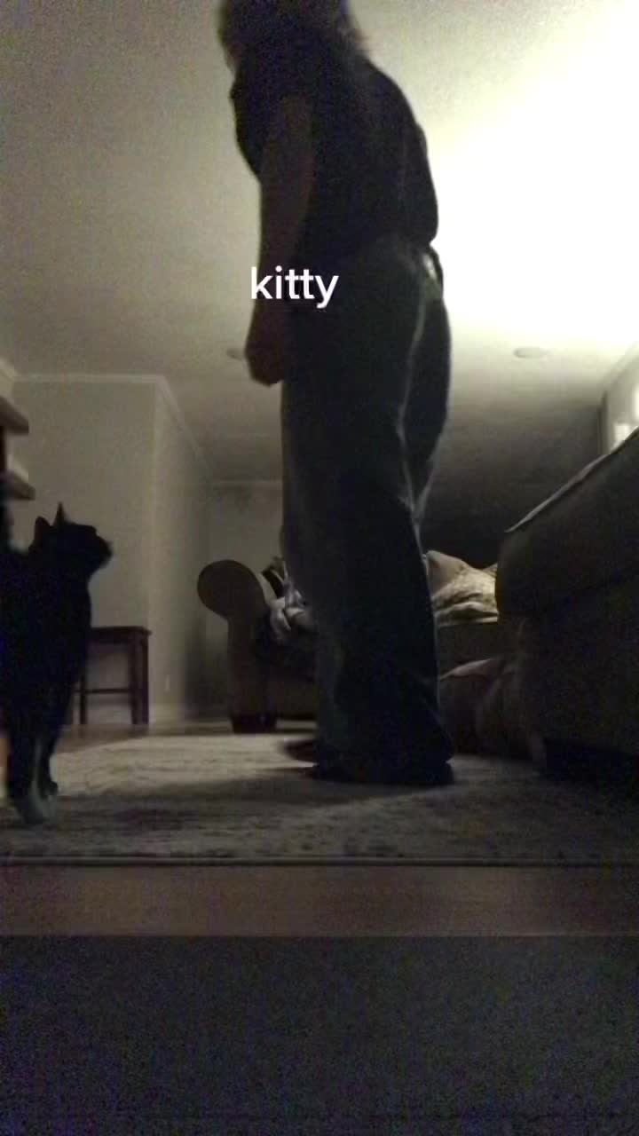 @🎃